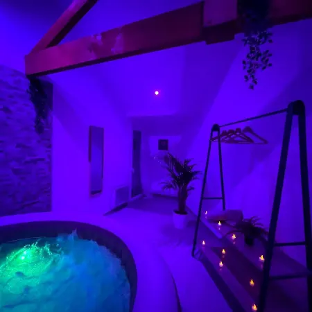 아파트 Un Cocon Pour 2 Ou 4 - -jacuzzi - Netflix - Tram A